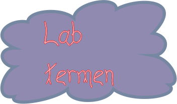 termen lab