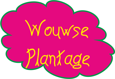 Kerstmarkt Wouwse Plantage